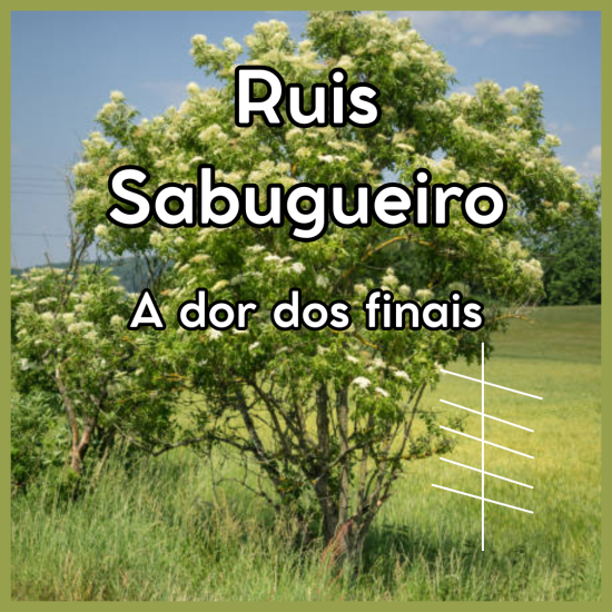 Inserir um título (8)